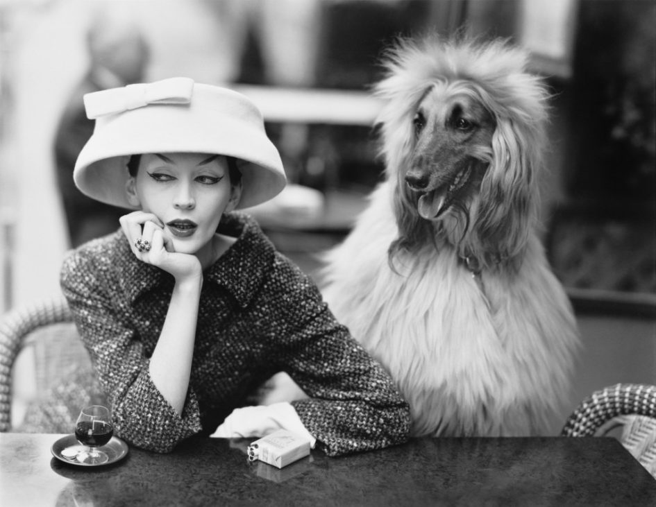 Dovima con Sacha, total look Balenciaga, foto Richard Avedon, 1955