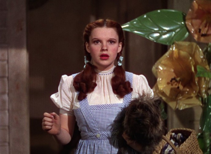 Judy Garland nei panni di Dorothy  Gale con un abito a quadretti bianchi e blu con al braccio il cagnolino e un cestino nel film "Il mago di Oz" del 1939